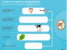 Biodiversidad como resultado de la evolución: relación ambiente, cambio y adaptación