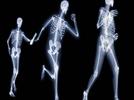 El cuerpo humano y las articulaciones