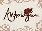 ¿Cómo organizar una antología?