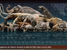 Importancia de las aportaciones de Darwin
