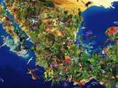 La diversidad biológica de México