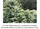 ¿Cómo saber si la muestra de una mezcla está más contaminada que otra?