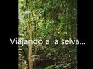 La selva