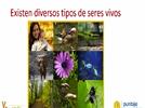 Describe y explica las características comunes que identifica entre seres vivos y elementos que observa en la naturaleza.