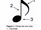 Las figuras musicales y su valor 