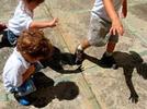 Experiencias con luces y sombras