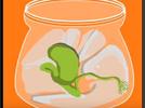 Video ¿Cómo se alimentan las plantas?