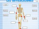 Reconocimiento de las diferentes partes del cuerpo y la importancia de sus posibles utilizaciones en la vida cotidiana
