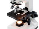 Historia del microscopio