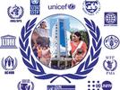 El sistema de la ONU y los derechos humanos