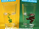Experimenta con objetos y materiales para poner a prueba ideas y supuestos.