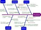 Diagrama-causa-efecto  