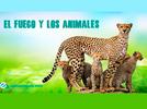 Leyenda mexicana “El fuego y los animales”