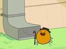 The Eensy Weensy Spider