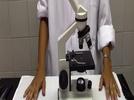 Partes de microscopio óptico