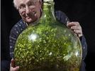 Un jardín de 53 años dentro de una botella