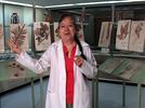 El herbario de plantas medicinales del IMSS