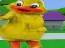 Corre patito