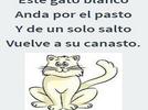 Comparar las características gráficas de su nombre con los nombres de sus compañeros y otras palabras escritas
