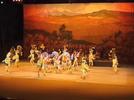 Danza de concheros