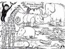African animals