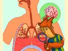 ¿Cómo funciona mi cuerpo?