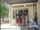Alimentos saludables en las escuelas.