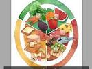 El plato del bien comer