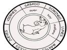 Identificar portada, título, contraportada e ilustraciones, como partes de un texto
