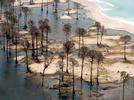 Tsunamis