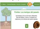 Fósiles, los testigos del pasado