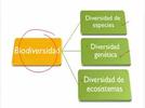 ¿Qué es la biodiversidad?