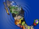 La diversidad de ecosistemas en México
