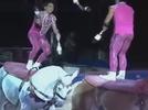 El circo