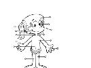 Las partes del cuerpo