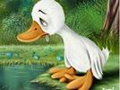 The ugly duckling