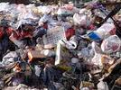 El cuidado  del medio ambiente