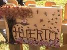 Huerto escolar