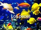 Los peces