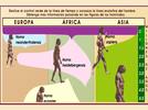 Línea del tiempo de la evolución humana