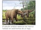 El estiércol y la extinción del mamut.