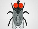 An old lady who swallowed a fly lyrics