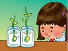 El germinador 