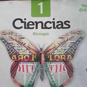 Aprende Jose