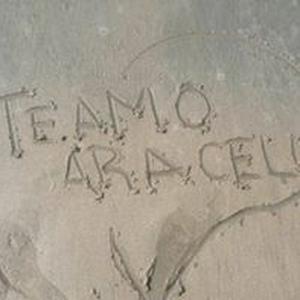 Para Ara