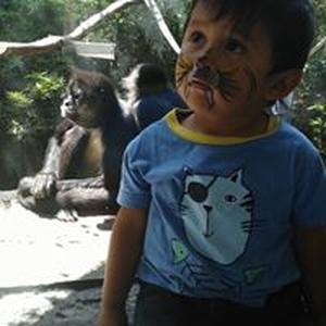 Reyner Tenok