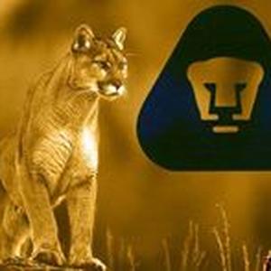 Lic Cacique