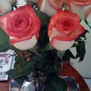 Africa Santacruz