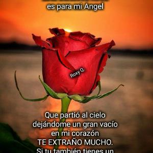 Sonia Jave