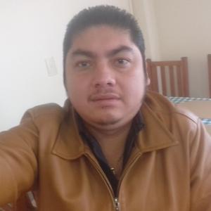 NELTER  CRUZ